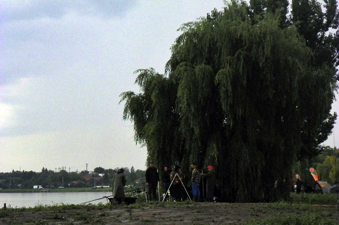 Hermes Peris 20 - 22 iunie 2014 - 1004839.jpg